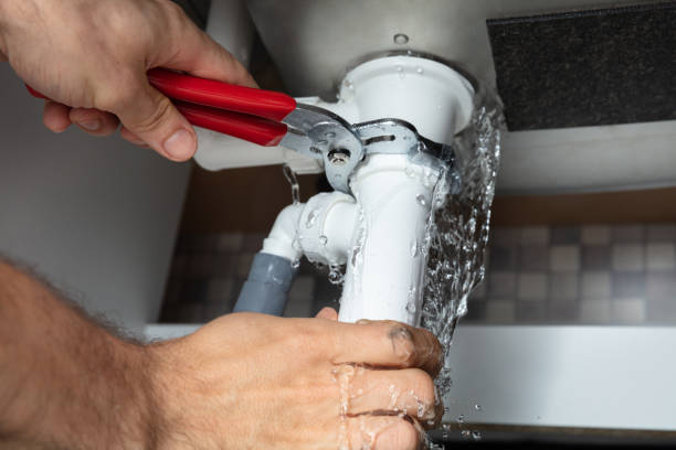 Best Flood damage cleanup  in Walworth, WI