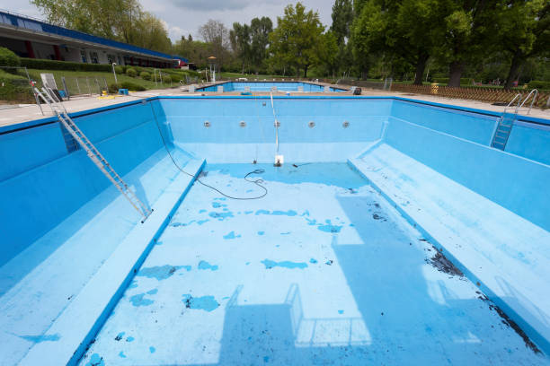 Best Basement water damage restoration  in Walworth, WI